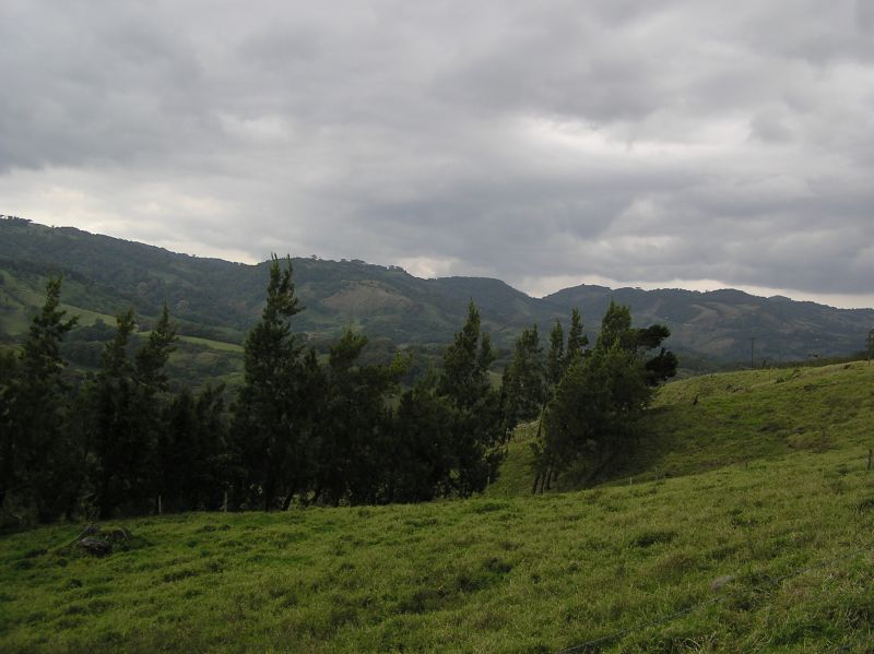P3021117.JPG