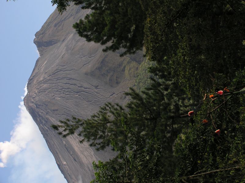 P3031158.JPG