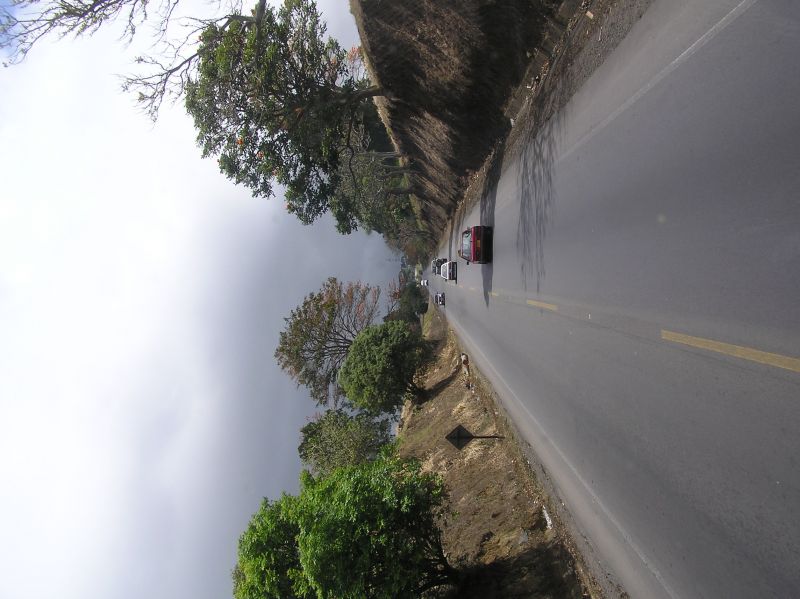 P2200575.JPG
