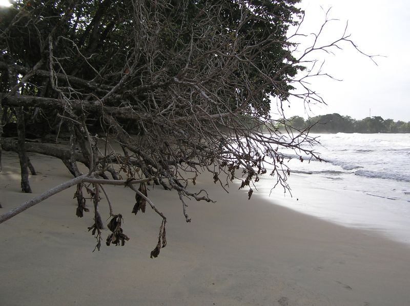 P2210587.JPG