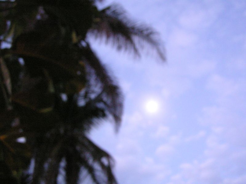 P2210599.JPG