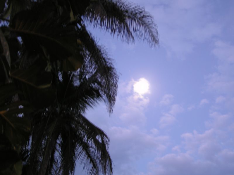 P2210600.JPG