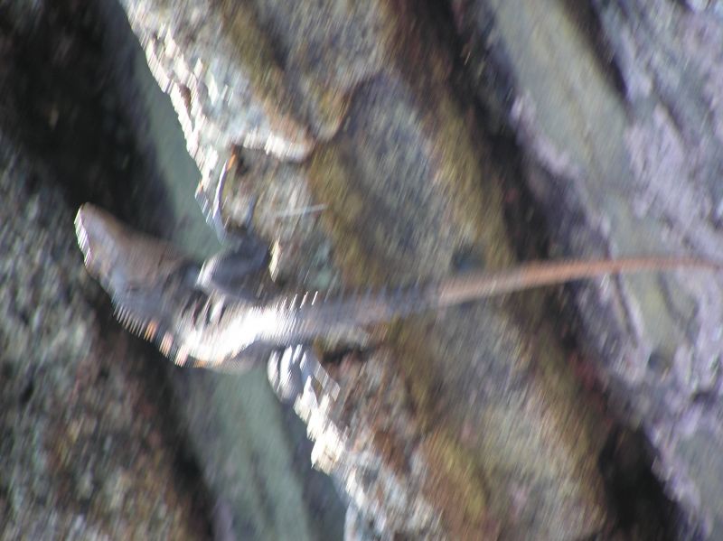 P2250821.JPG