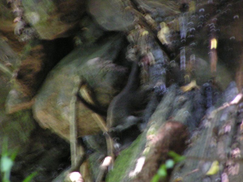 P2250828.JPG