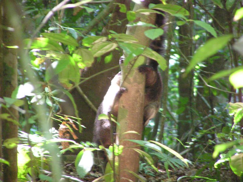 P2250832.JPG