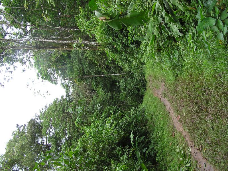 P2220655.JPG