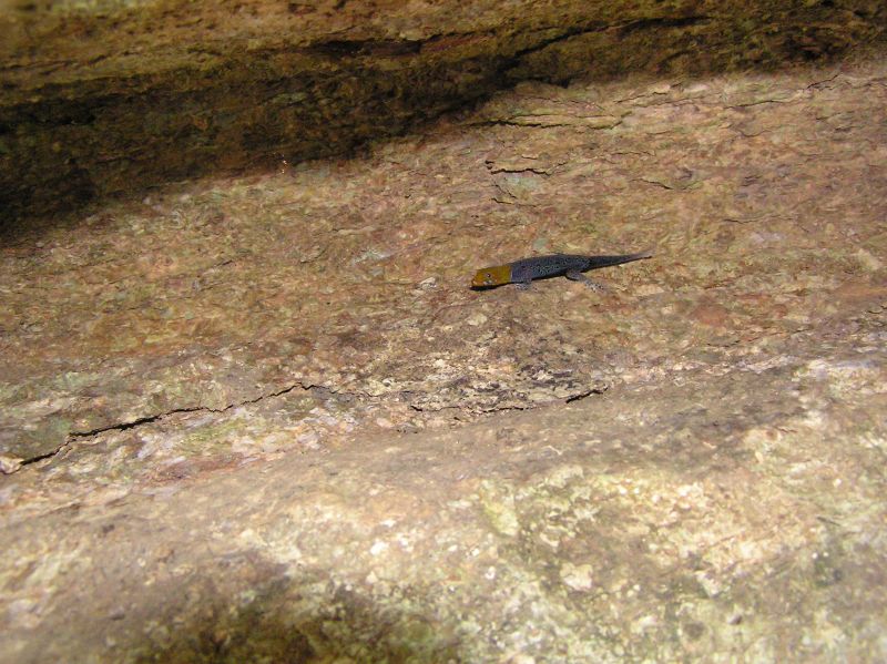 P2220657.JPG
