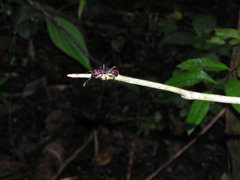 P2220675.JPG