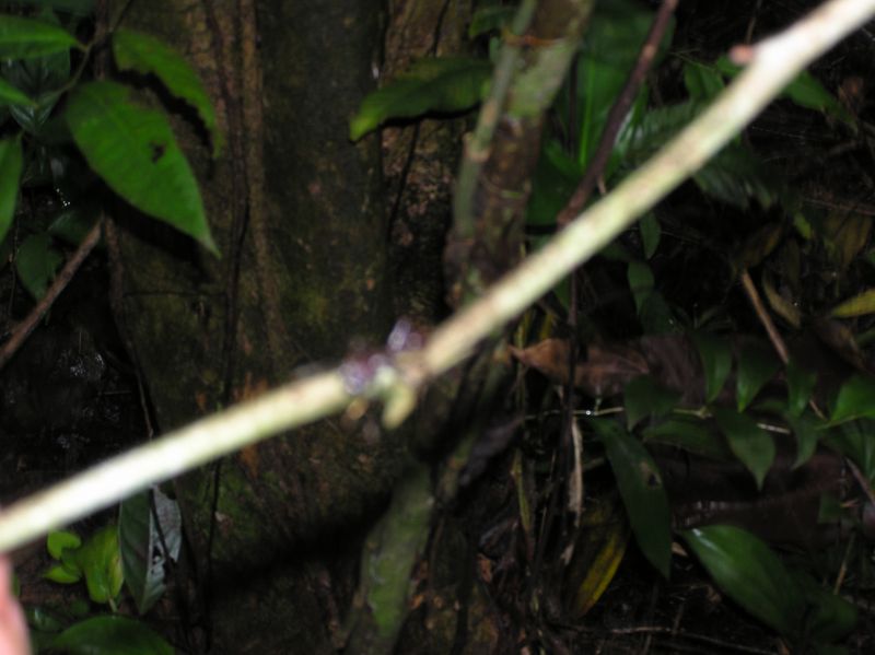 P2220676.JPG