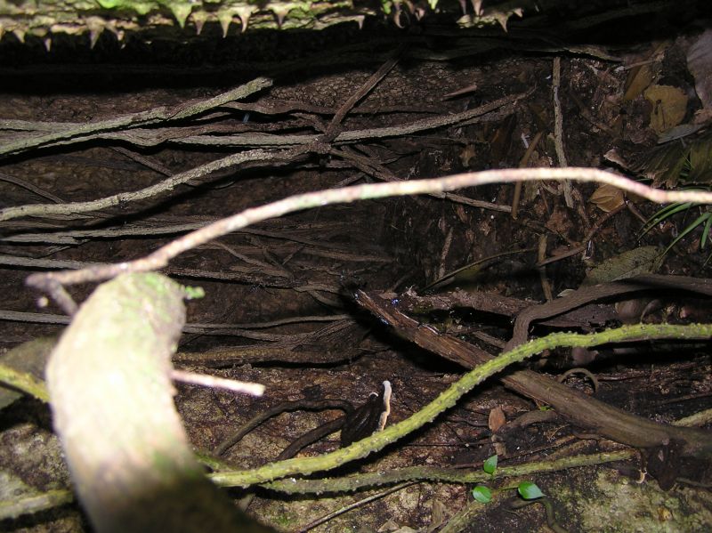 P2220694.JPG