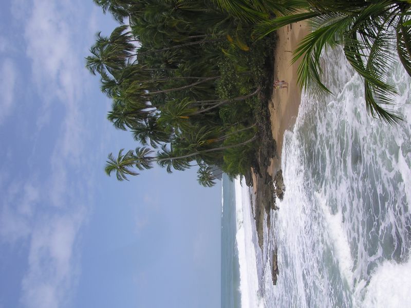 P2220714.JPG