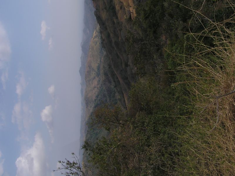 P2281000.JPG