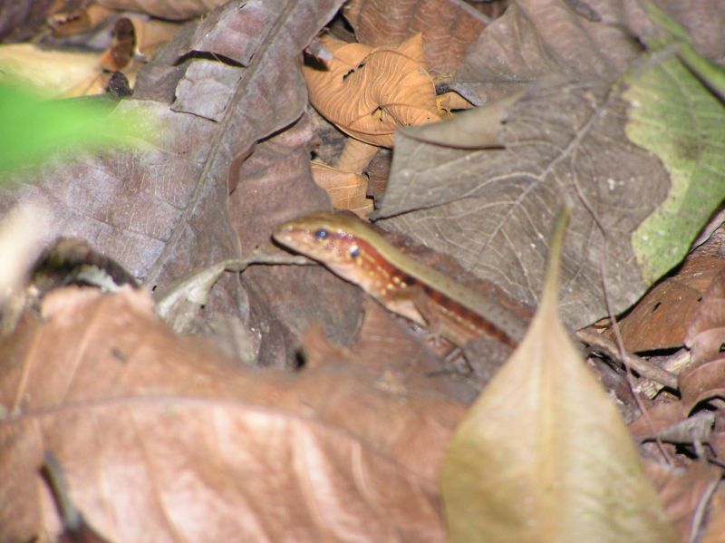 P2270952.JPG