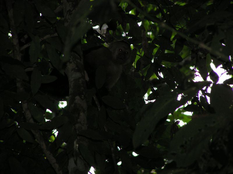 P2270954.JPG
