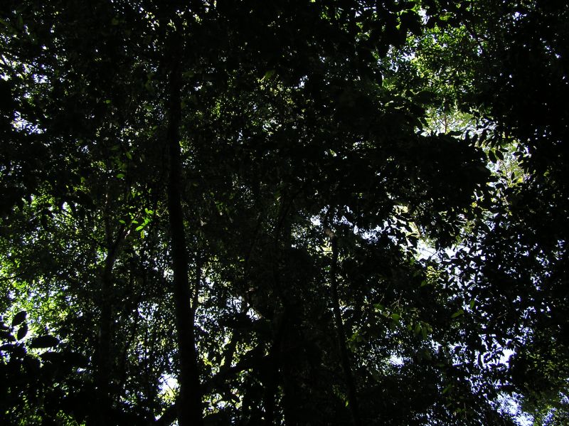 P2270962.JPG