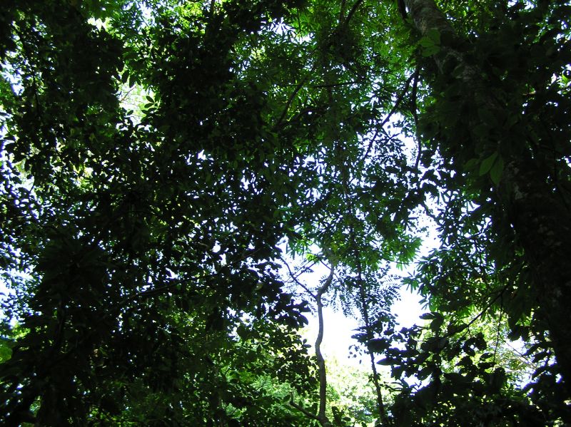 P2270964.JPG