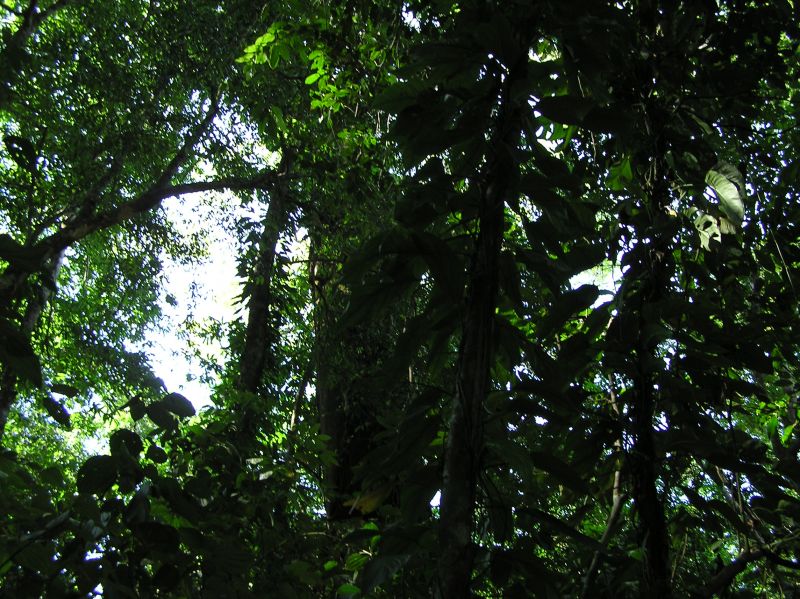 P2270967.JPG