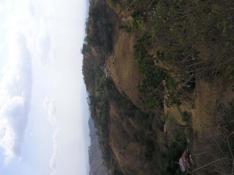P2280994.JPG