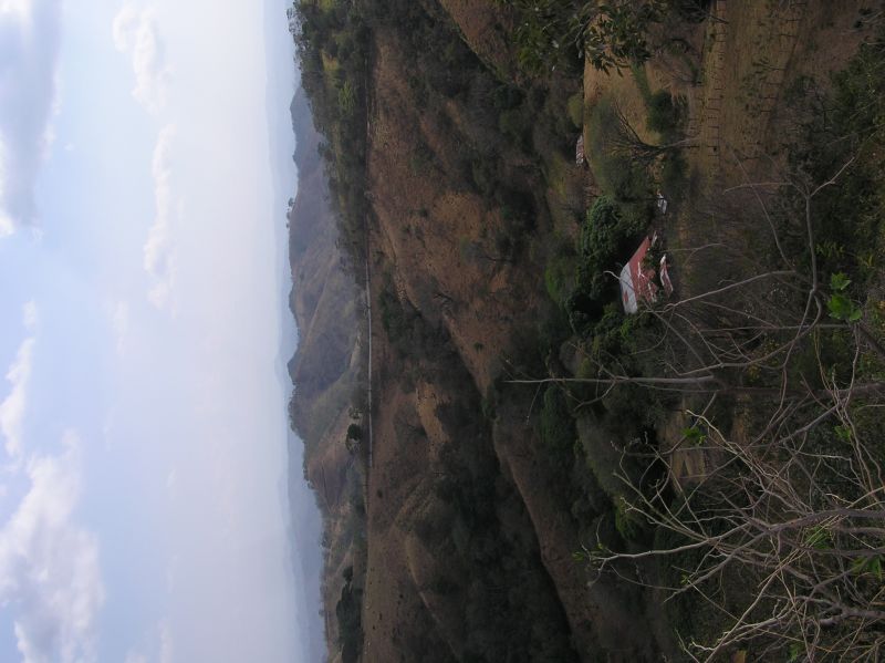 P2280995.JPG