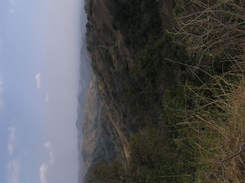 P2280998.JPG