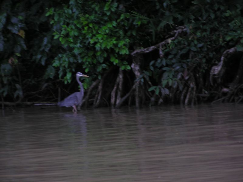 P2230730.JPG