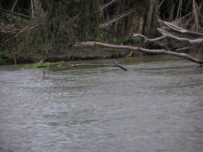 P2230741.JPG