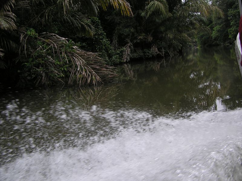 P2230749.JPG