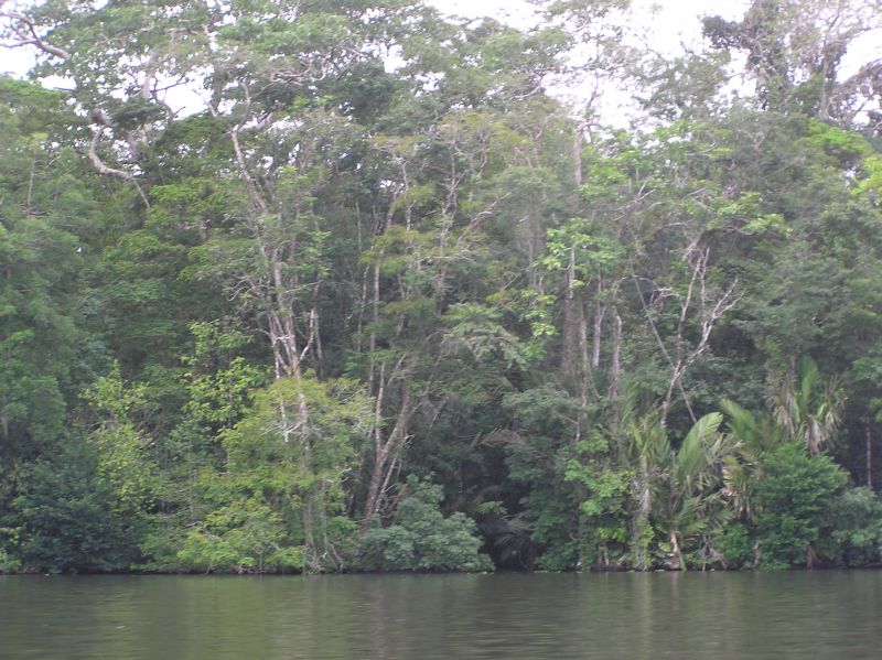 P2230752.JPG