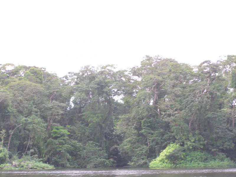 P2230760.JPG
