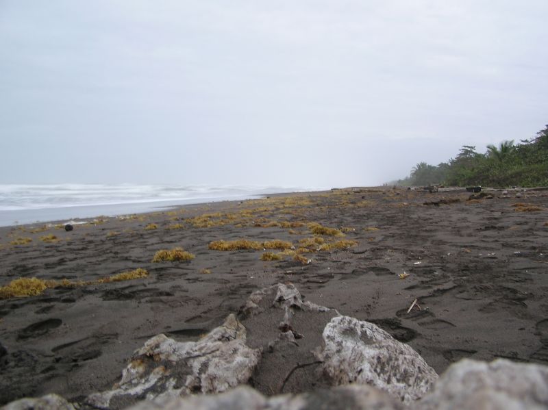 P2240771.JPG