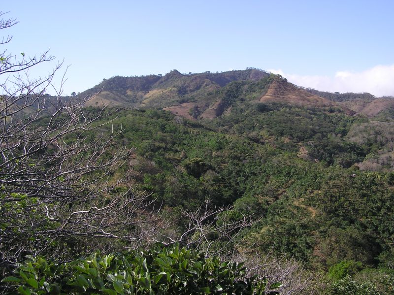 P2240780.JPG