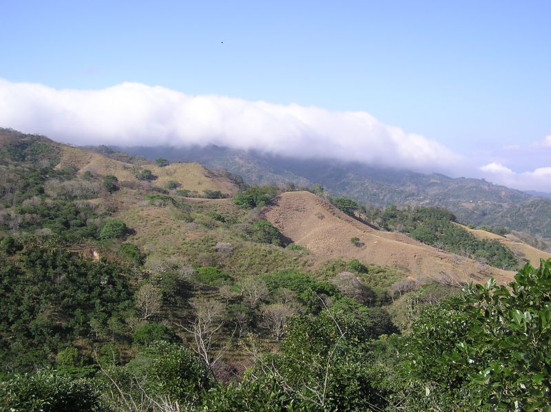 P2240782.JPG
