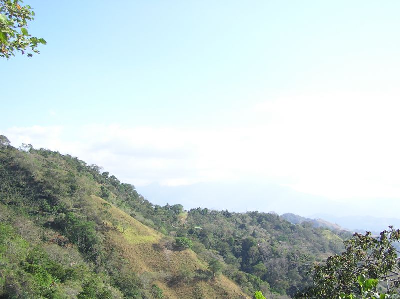 P2240783.JPG