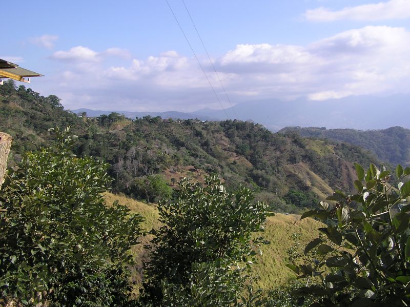 P2240785.JPG