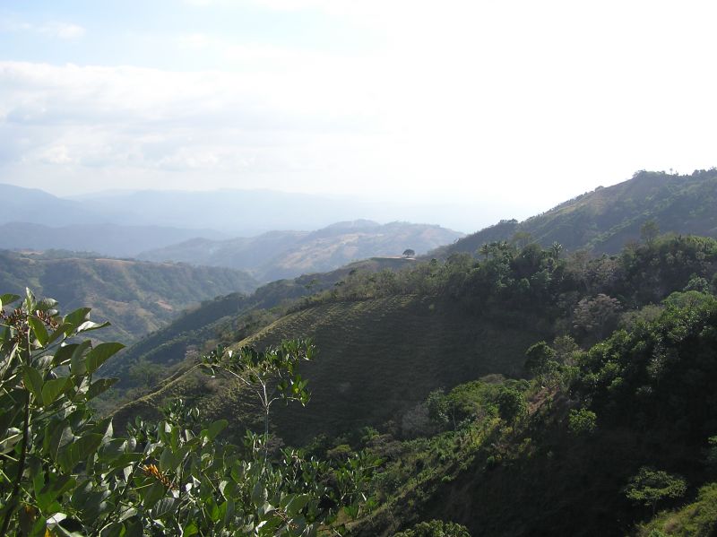 P2240787.JPG
