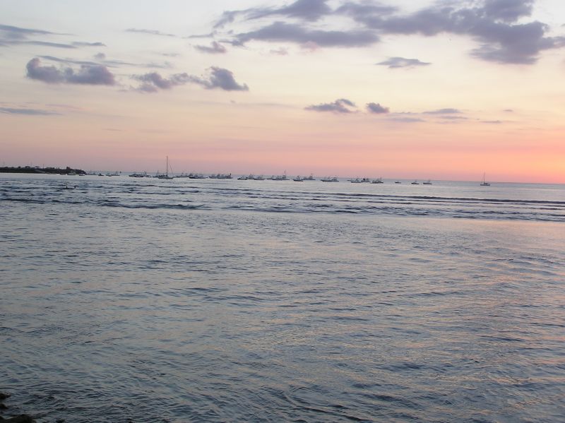 P2250800.JPG