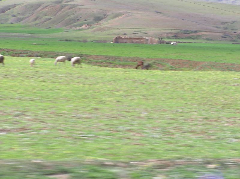 P3261351.JPG