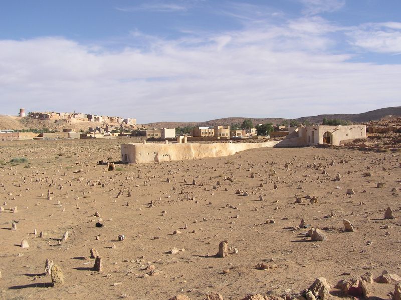 P3291582.JPG