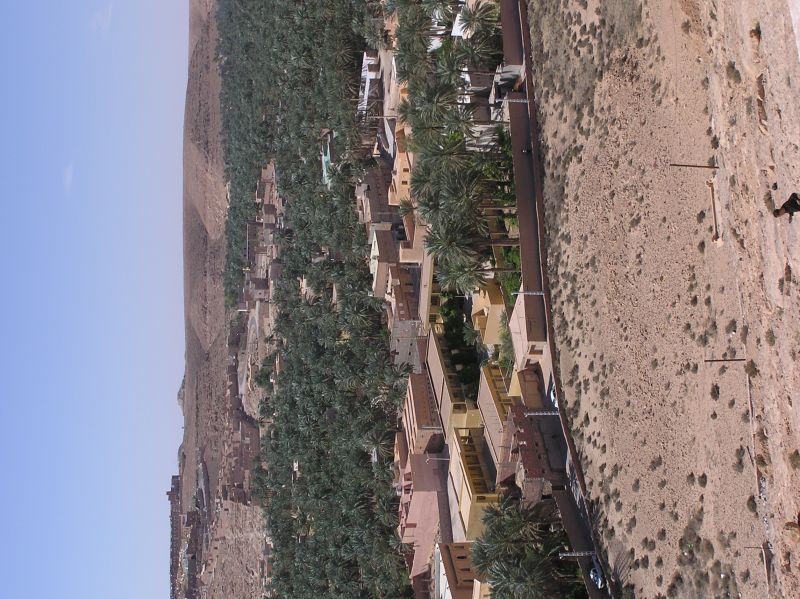 P3311699.JPG