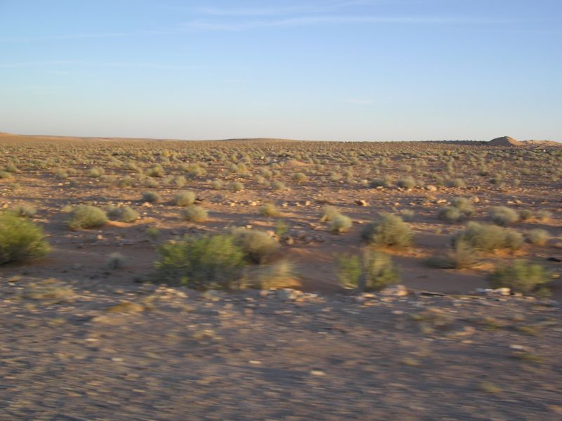 P3311817.JPG