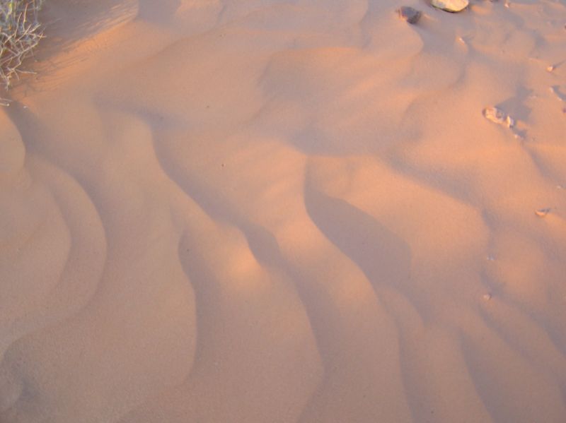 P3311827.JPG