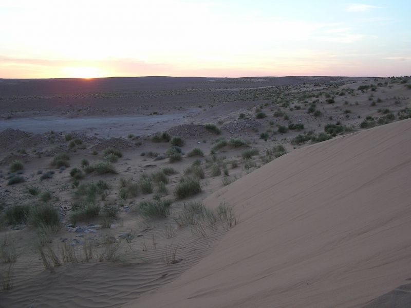 P3311834.JPG