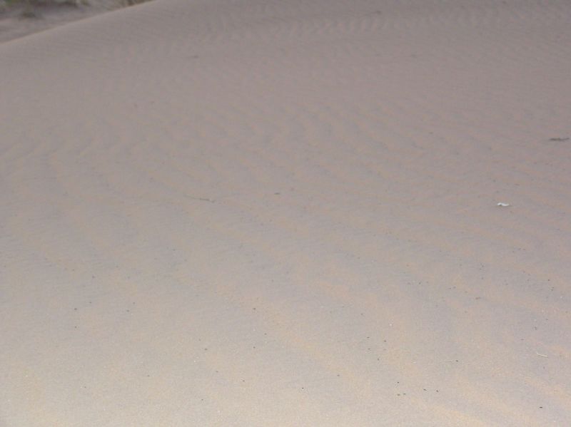 P3311836.JPG