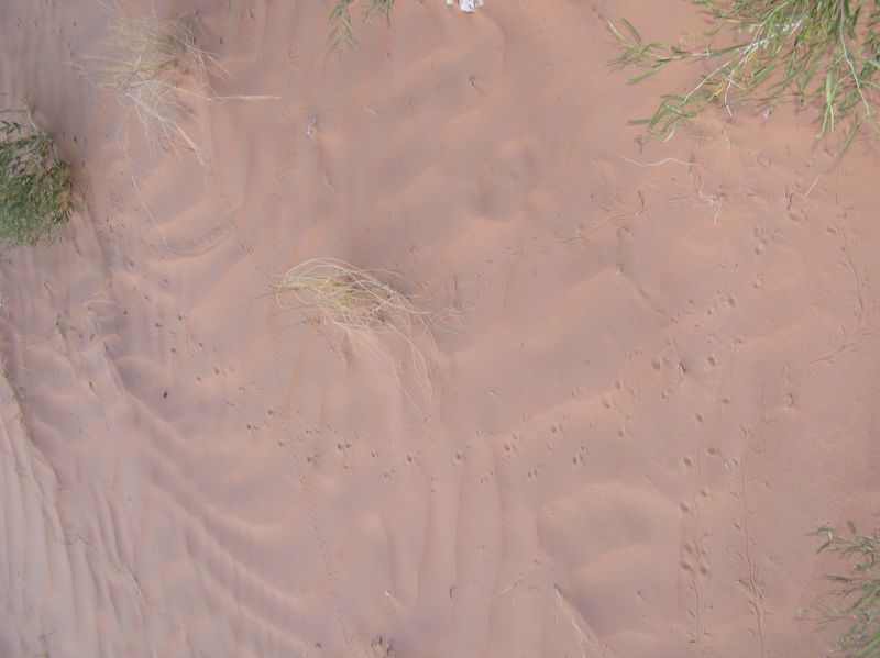 P3311841.JPG